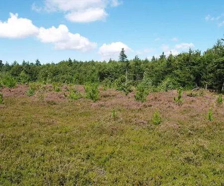C11629-hemmet-ildervej-10 Feriehus Hemmet